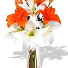 2 orange and 2 white Asiatic Lily Bouquet