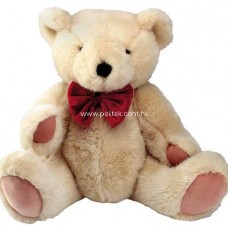 Lovely Teddy Bear (10 Inches Height)